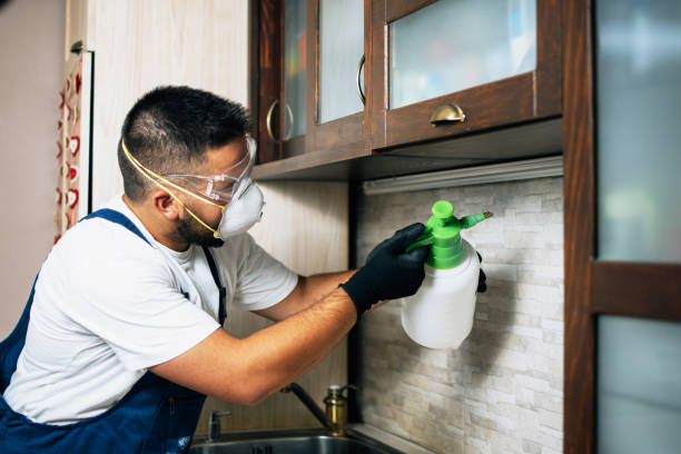 Flea Control Services in Thermal, CA
