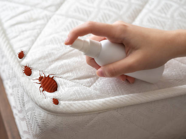 Best Pest Inspection Near Me  in Thermal, CA